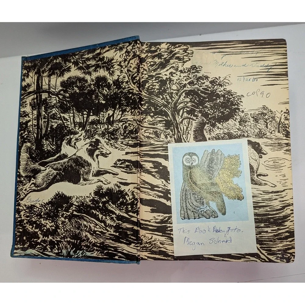 Grosset & Dunlap Albert Payson Terhune Dog Books Set 4 Blue Hardcover Vintage